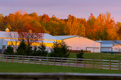 Mayhem Stables sit on 30 Acres of land in Greenwood, IN.